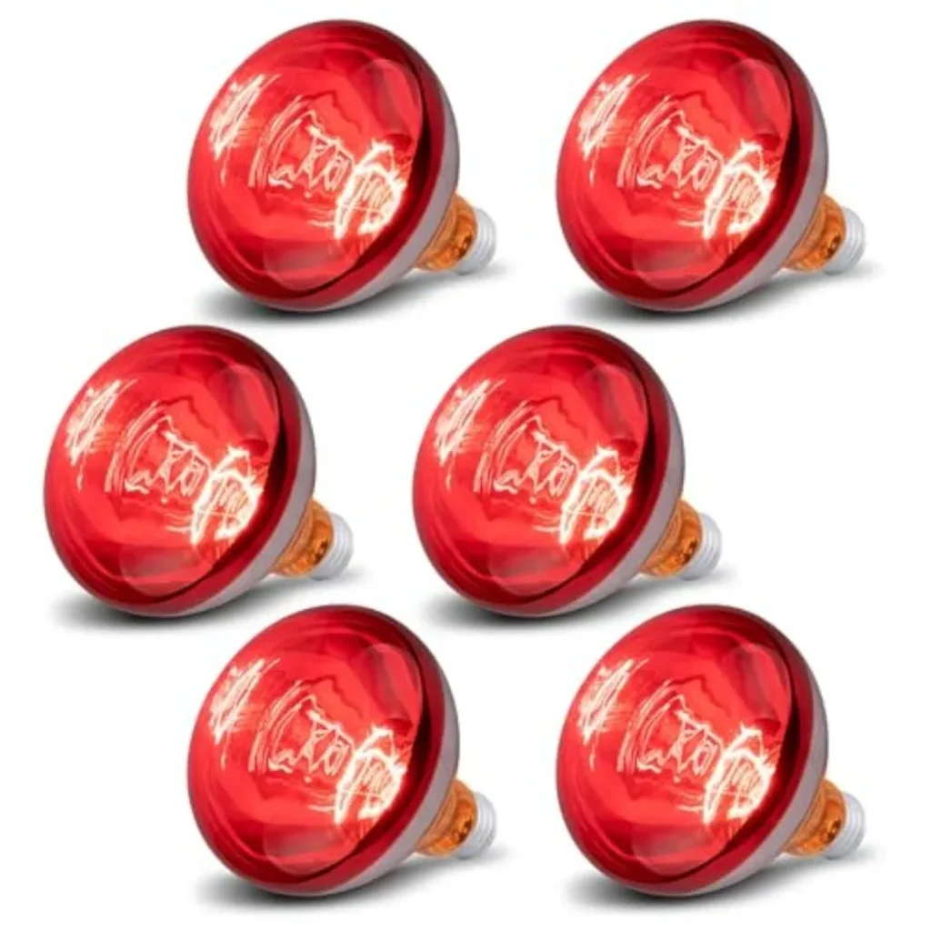 6 Pack 250W Heat Lamp Bulbs Chicks, R40