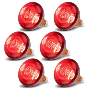 6 Pack 250W Heat Lamp Bulbs Chicks, R40