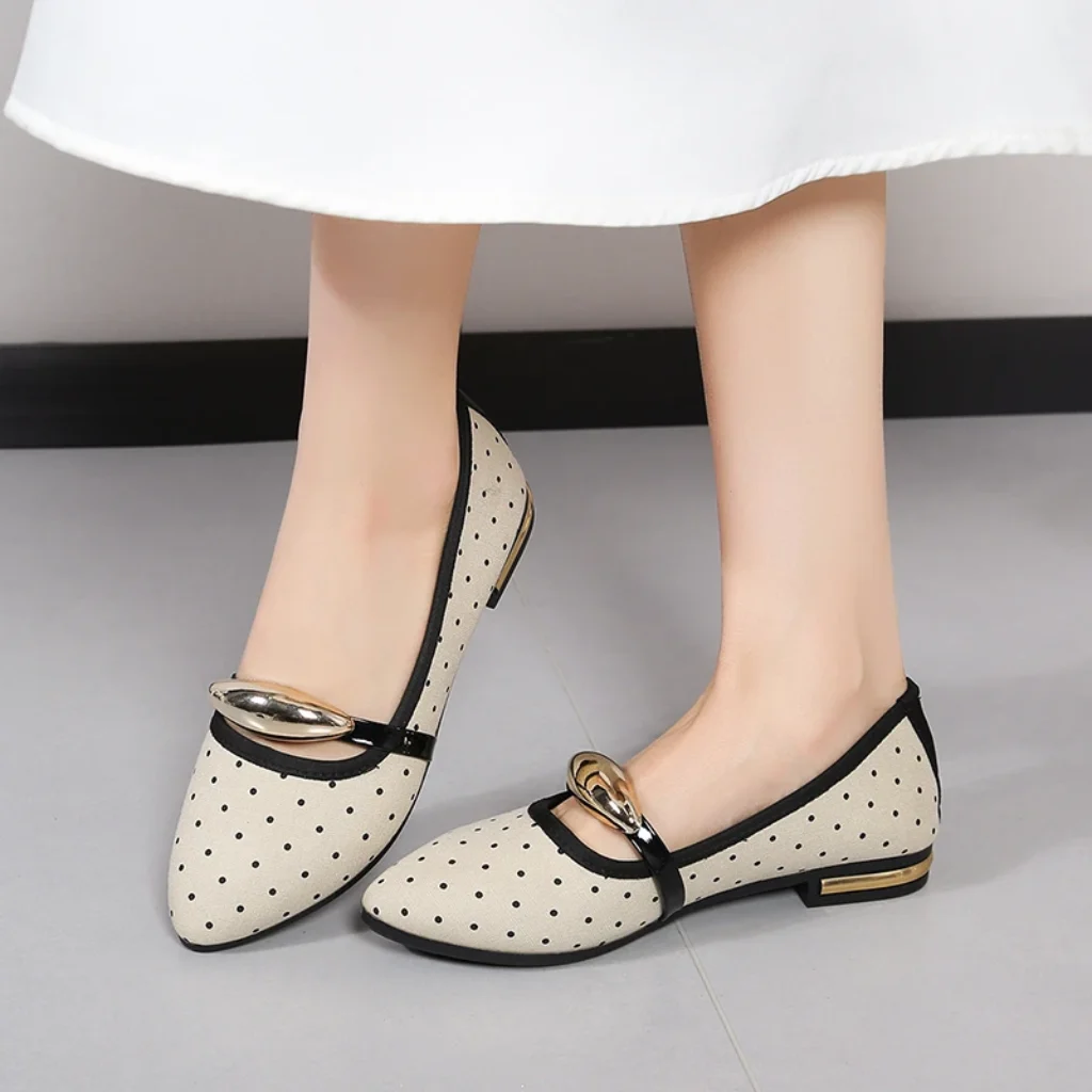 Spring Autumn Elegant Pointed Sexy Low Heel Casual