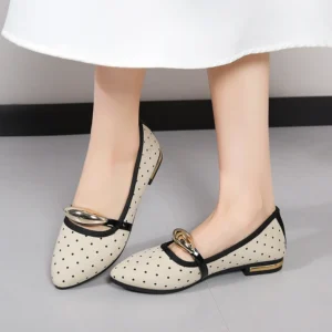 Spring Autumn Elegant Pointed Sexy Low Heel Casual