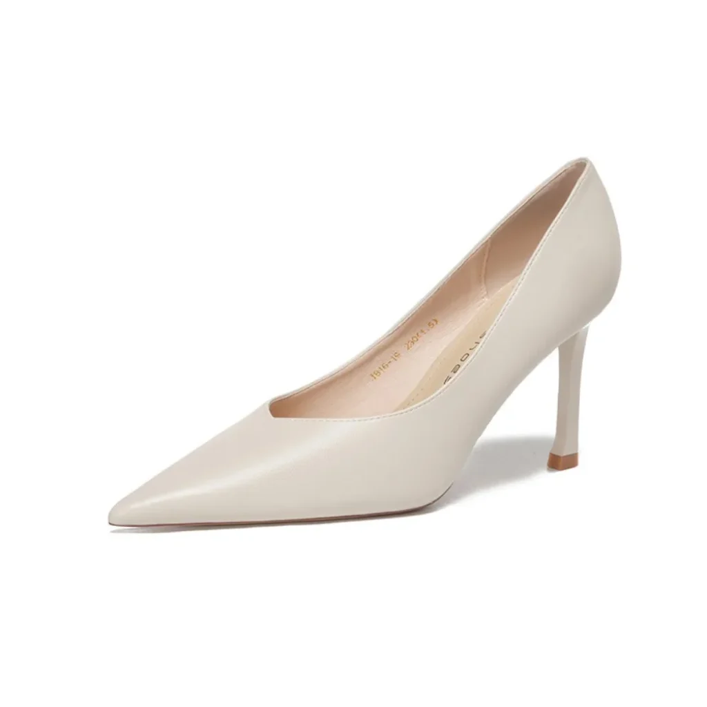 Woman Heeled Shoes Pointed Professional High Heels Women’s