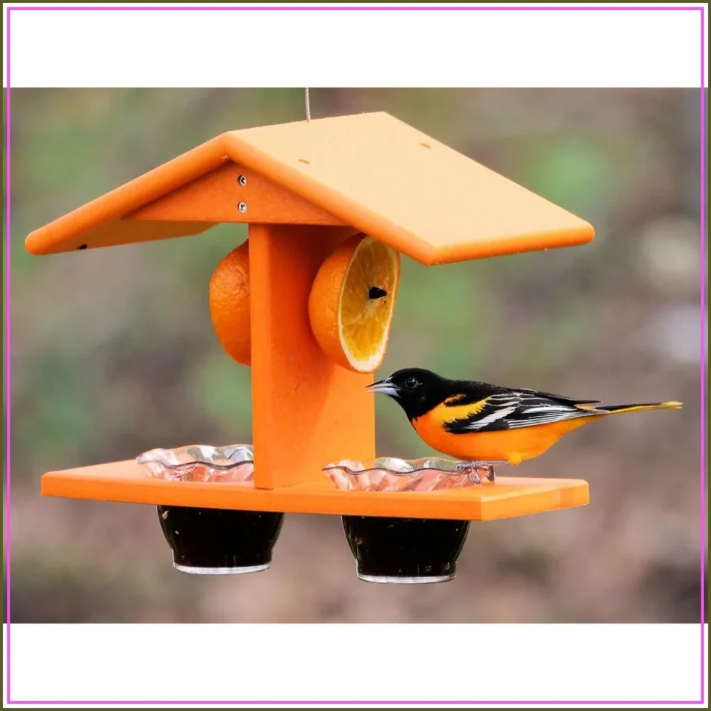 Double-Cup Jelly Oriole Feeder Pegs Orange Halves