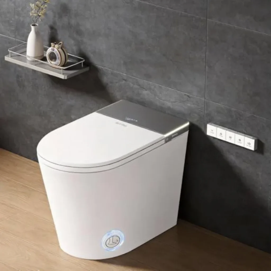 Smart toilet bathrooms: ceramic, white, bidet built-in heated