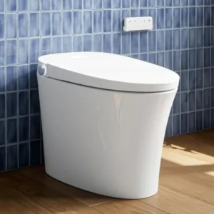 Smart toilet home bathroom use, ceramic white, ADA