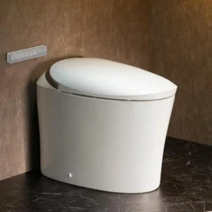 Smart toilet home use, ceramic, black, bidet built-in