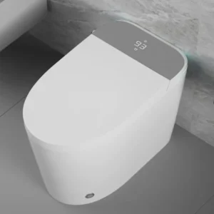 Smart toilet home use, ceramic material, grey color,