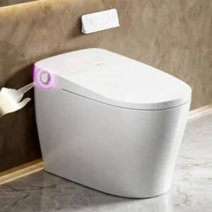 Smart toilet home use, ceramic white, bidet, auto