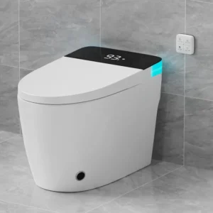 Smart Toilet Elongated Heated Seat, Auto lush, Manual