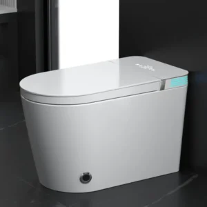 Smart toilet Vioce Control AUTO Open & Close,