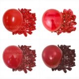 10/30/50Pcs Red Balloons Dark Wine Red Garnet Burgundy Latex Balloons for Birthday Christmas Engagement Wedding Party Decoration