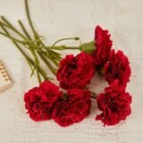 10Pcs Short-branch Artificial Flowers Carnation Mother’s Day Gift Bouquet Silk Flower Home Decoration Wedding Party Carnation