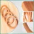 4PCS Wooden Round Shaped Handles Replacement for Handmade Bag Handbags Purse Handles-A07G