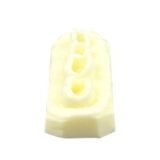 Dental Filling Model Exercize Implant Practice Model Teeth Model For Dentistry Training Teaching Studying Examation Education