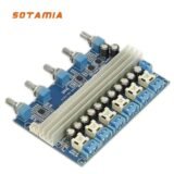 SOTAMIA 5.1 Home Theater TPA3116 Power Amplifier Board 100Wx2+50Wx4 Subwoofer Amplificador Class D Hifi Digital Audio Amplifier