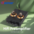 TPA3255 High-power 115V/230V Mono Split Type D-class Power Amplifier 300W+300W 4 Ω High-power RCA Input Signal