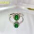 925 Sterling Silver Full Zircon Shining Classic Ring For Women Engagement Wedding Anniversary Fashion High Quality Fine Jewelry